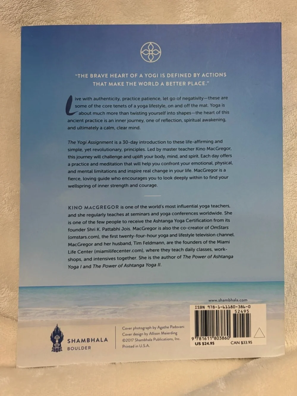 5/$7 📚 The Yogi Assignment (book) - Picture 2 of 2
